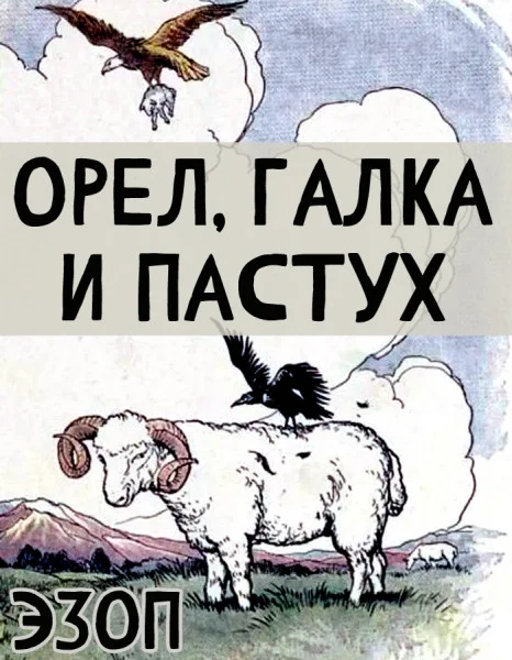 Орел, галка и пастух