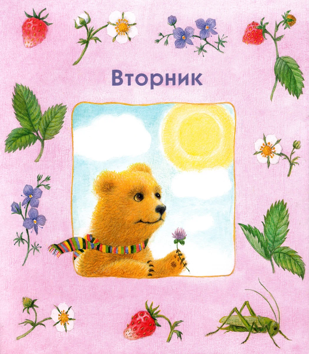 Мишка и солнышко