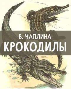 Крокодилы