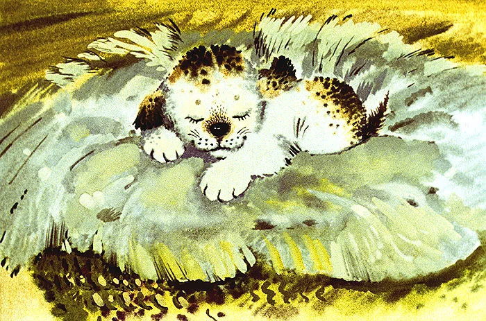 Щенок спит