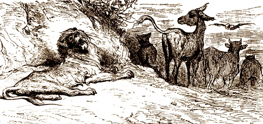 Лев и коровы