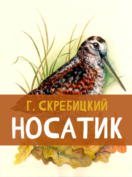 Носатик