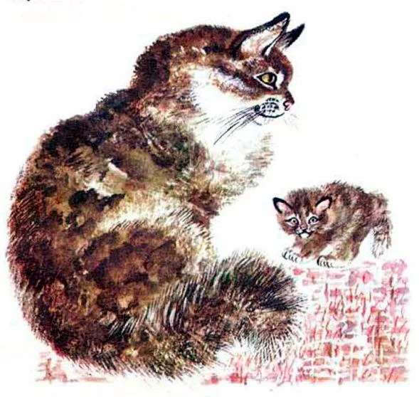 Кошка Маруська