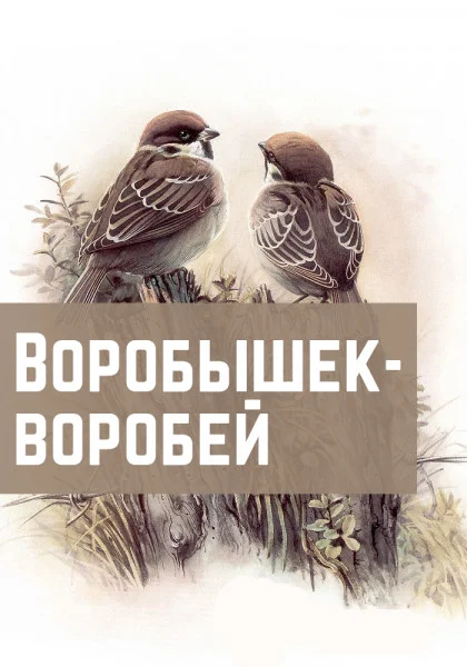 Воробышек-воробей
