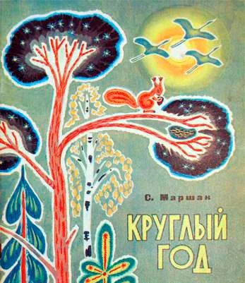 Круглый год