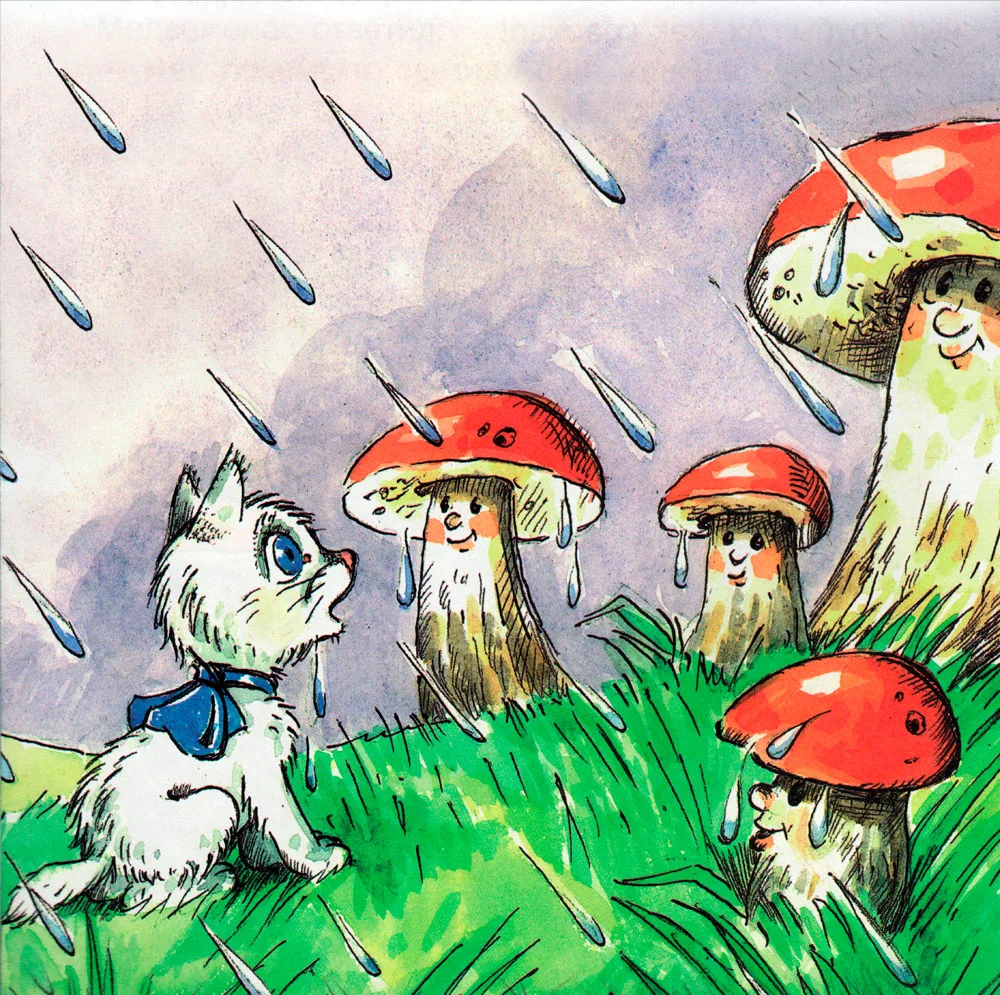 Котенок под дождем