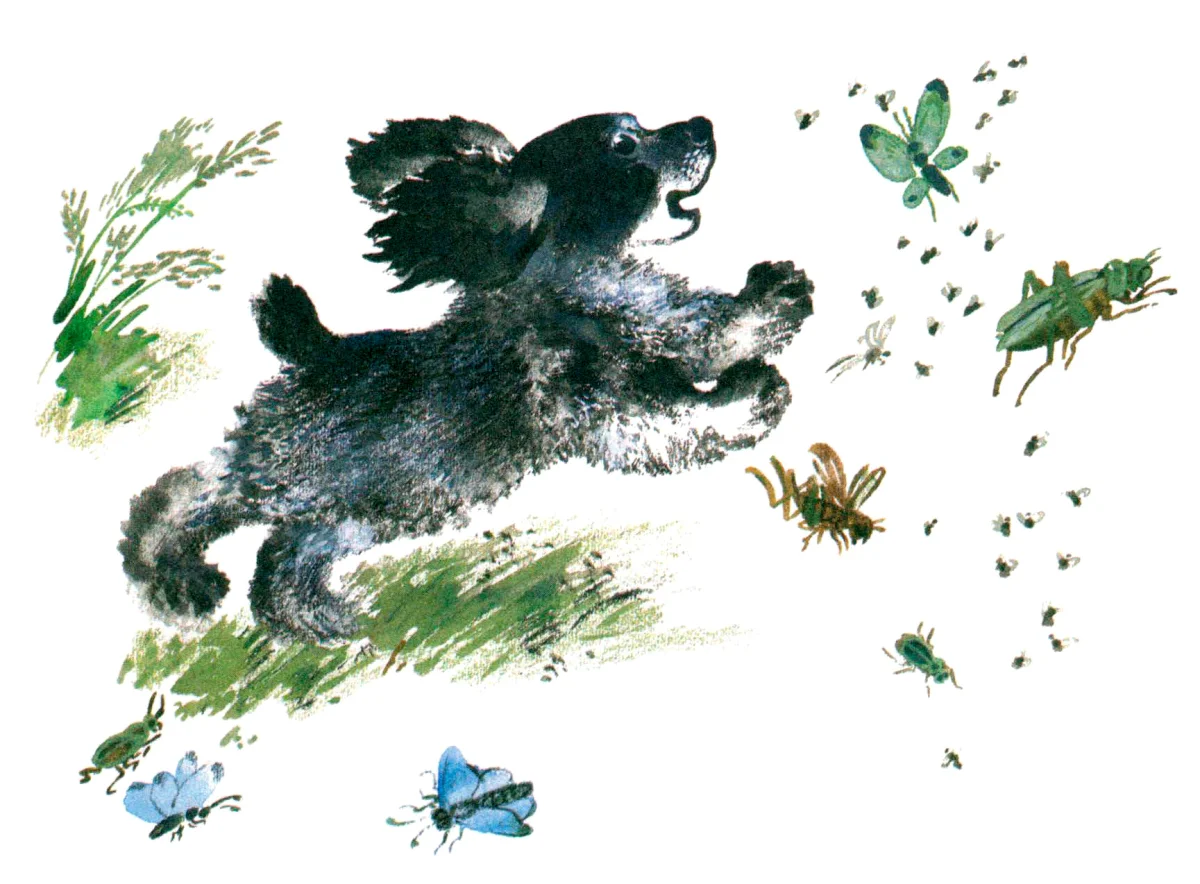 Песик бегает по травке