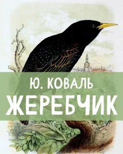 Жеребчик