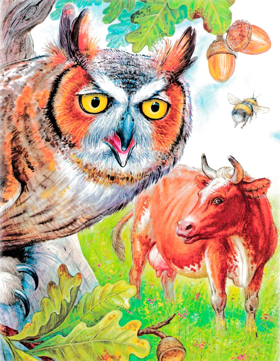 Сова и корова