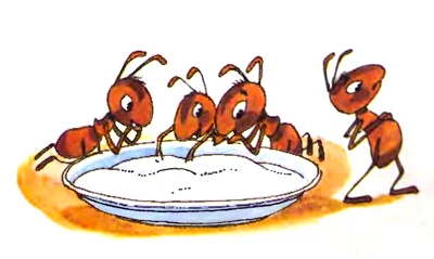 Муравьи едят сахар из блюдца