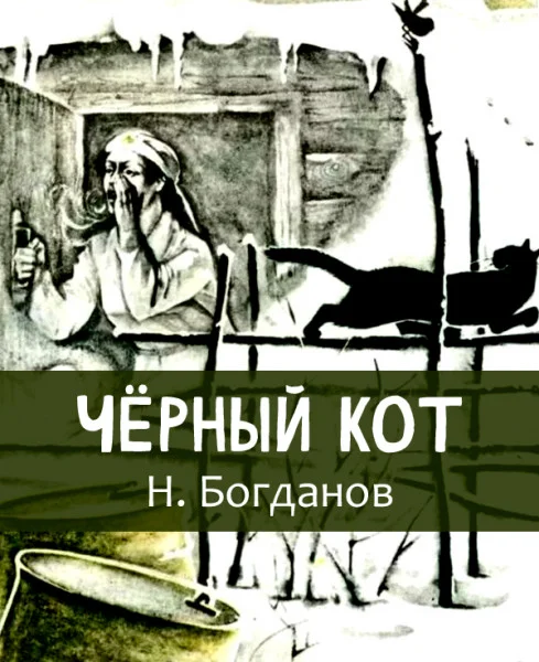 Чёрный кот