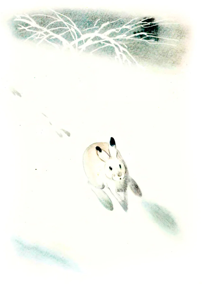 Зайчик бежит по снегу