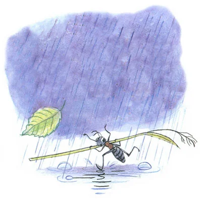 Сказка под грибом, фото 1