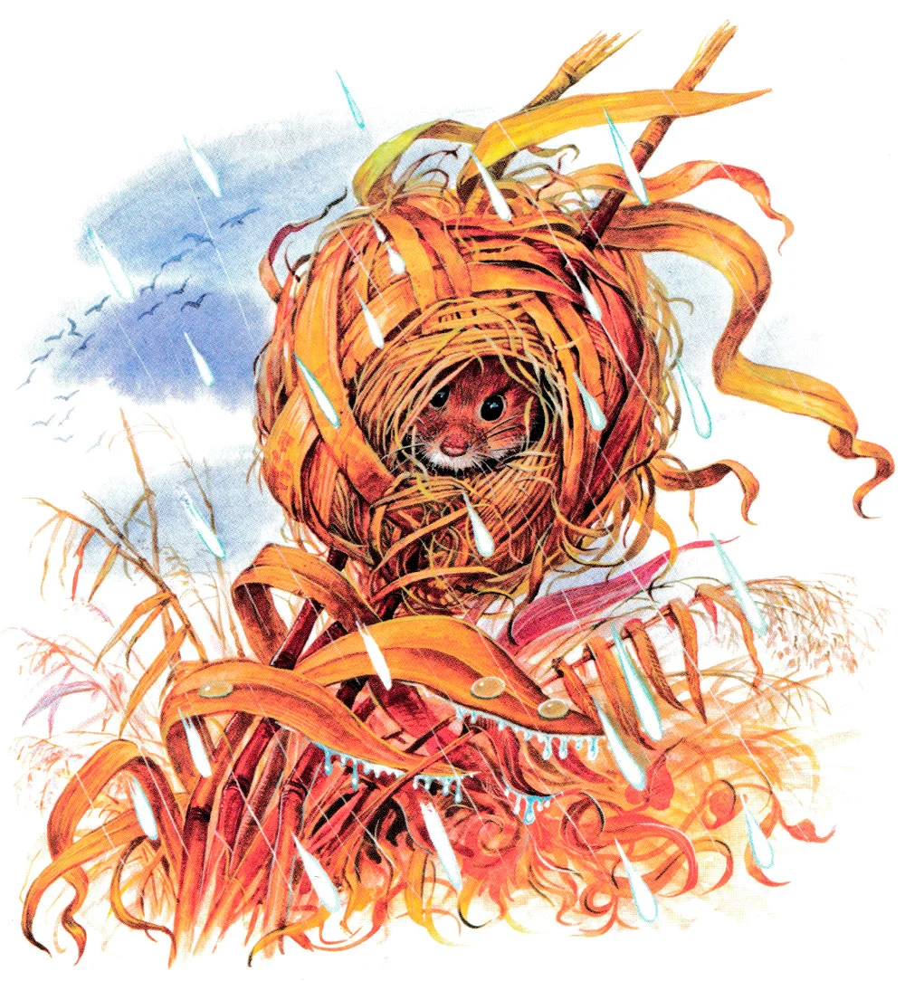 Мышонок Пик прячется от дождя