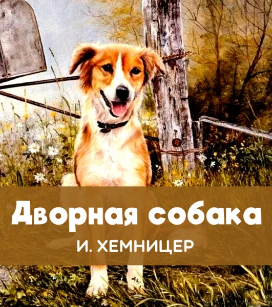 Дворная собака