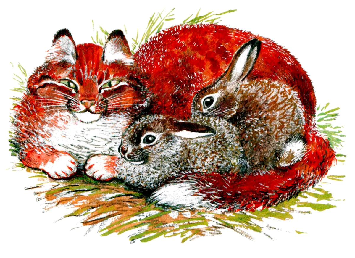 Зайчики и кошка