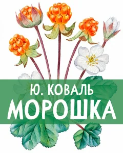 Морошка