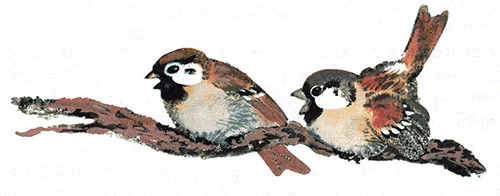 Воробьи на ветке