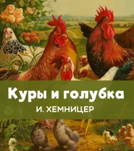 Куры и голубка