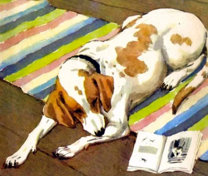 Собака лежит на полу