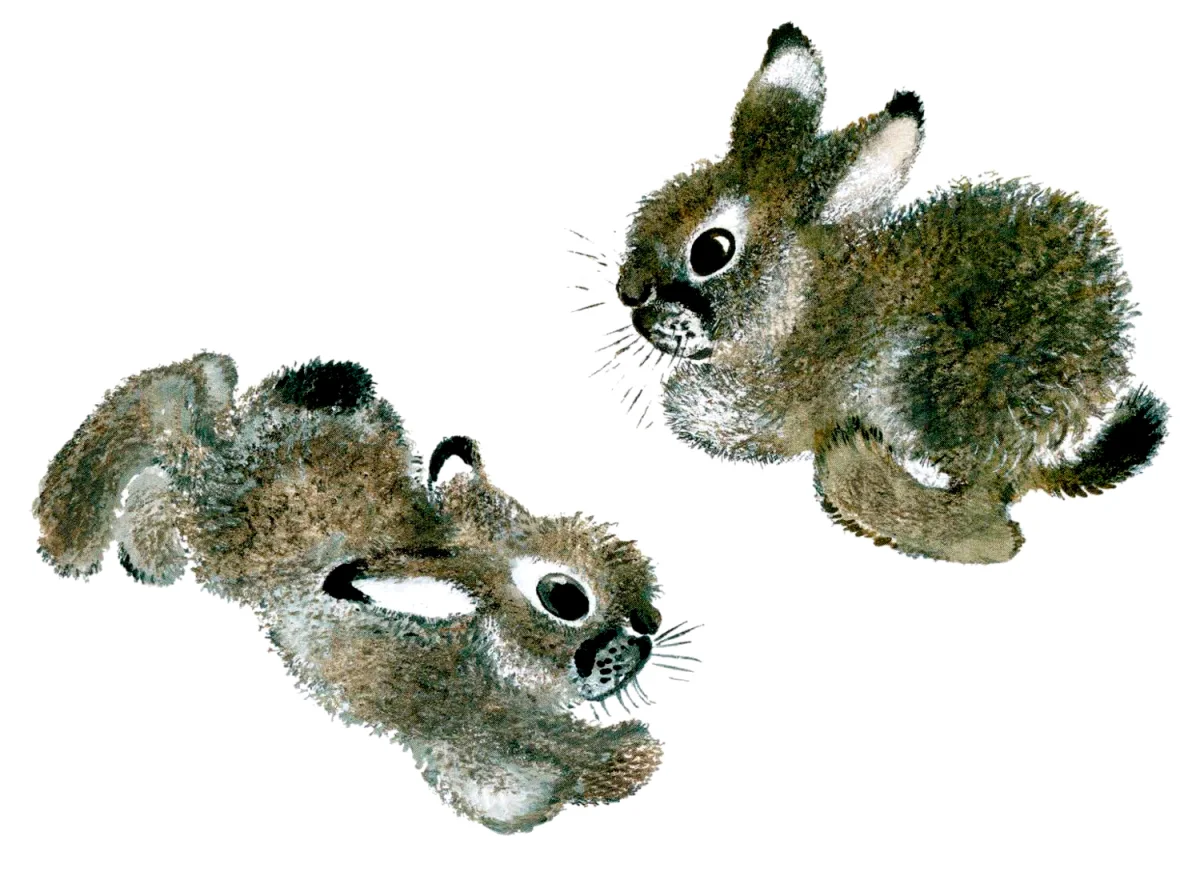 Зайчики прыгают