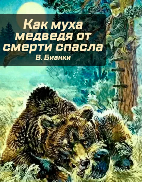 Как муха медведя от смерти спасла