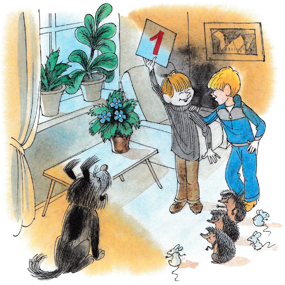 Дрессировка собаки