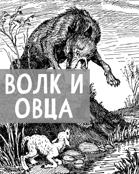 Волк и овца