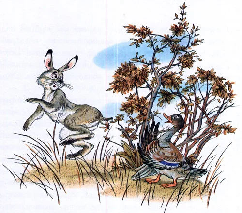 Серая шейка - картинка 5