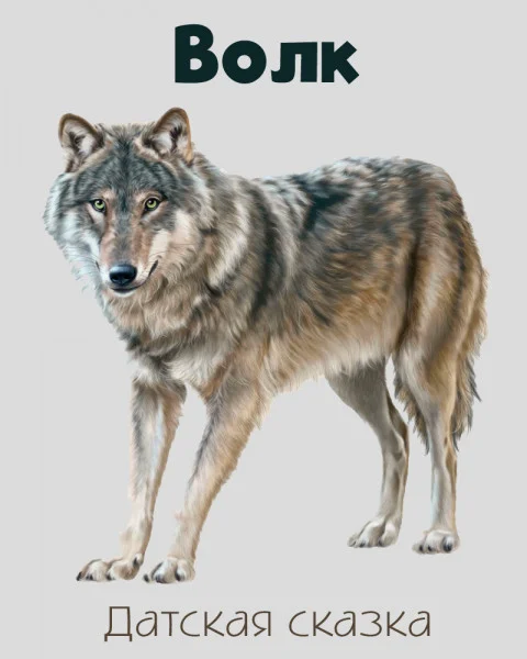 Волк