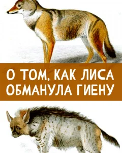 О том, как лиса обманула гиену