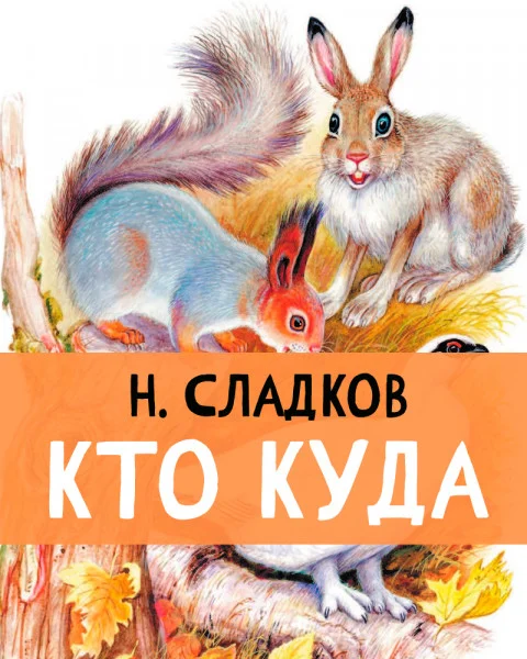 Кто куда
