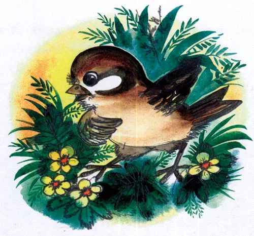 Сказка Жил-был Фип - фото 12