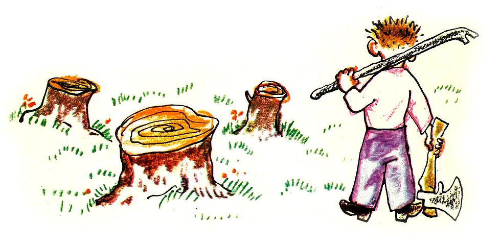 Мальчик и пни