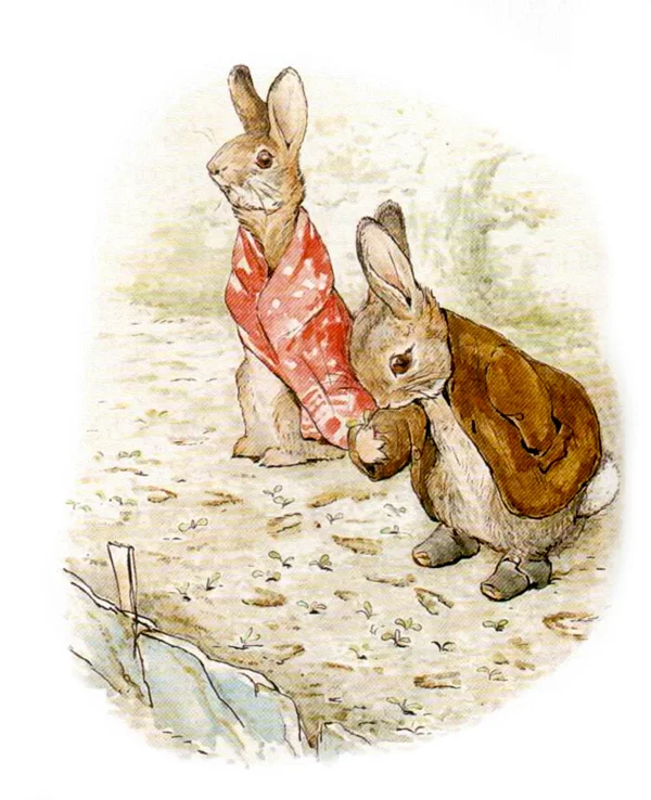 Крольчата смотрят на следы