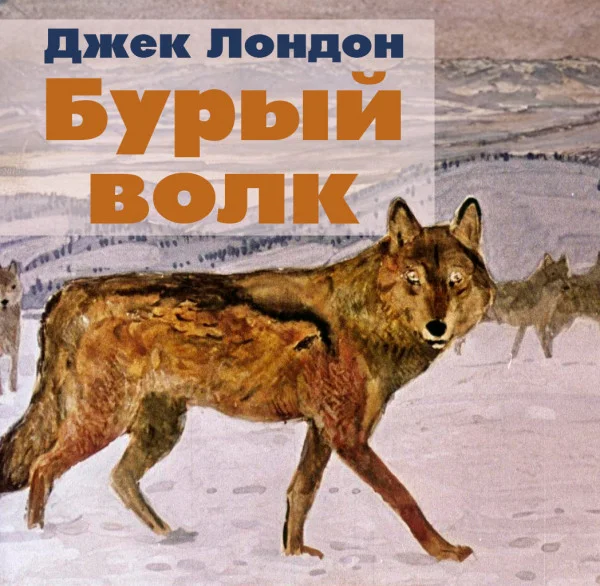 Бурый волк
