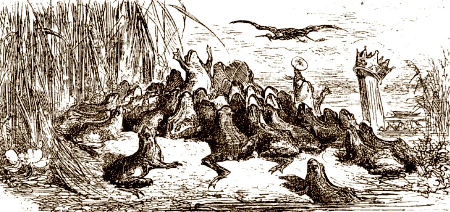 Лягушки на болоте