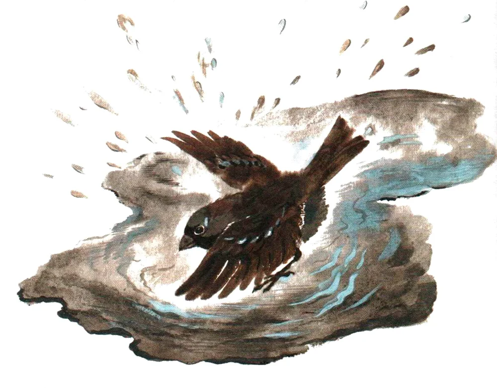 Воробей в луже