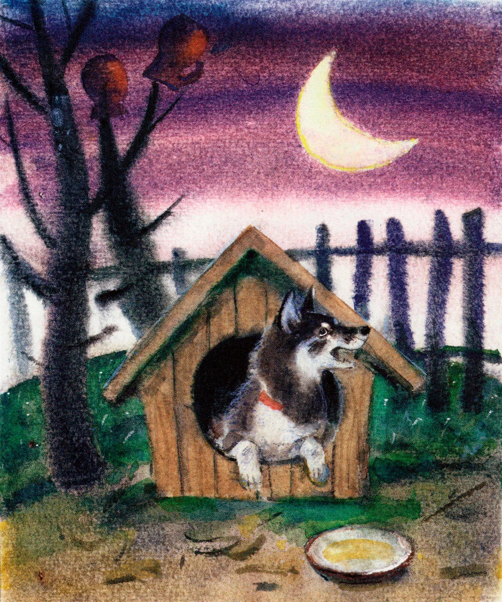 Собака в будке