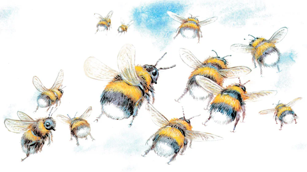 Шмели летят