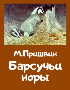 Барсучьи норы