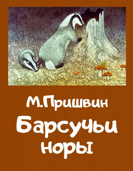 Барсучьи норы