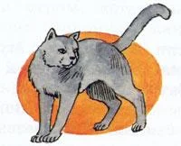 Беспризорная кошка