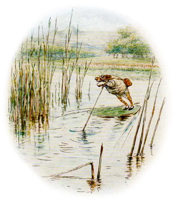 Лягушонок плывет на листе