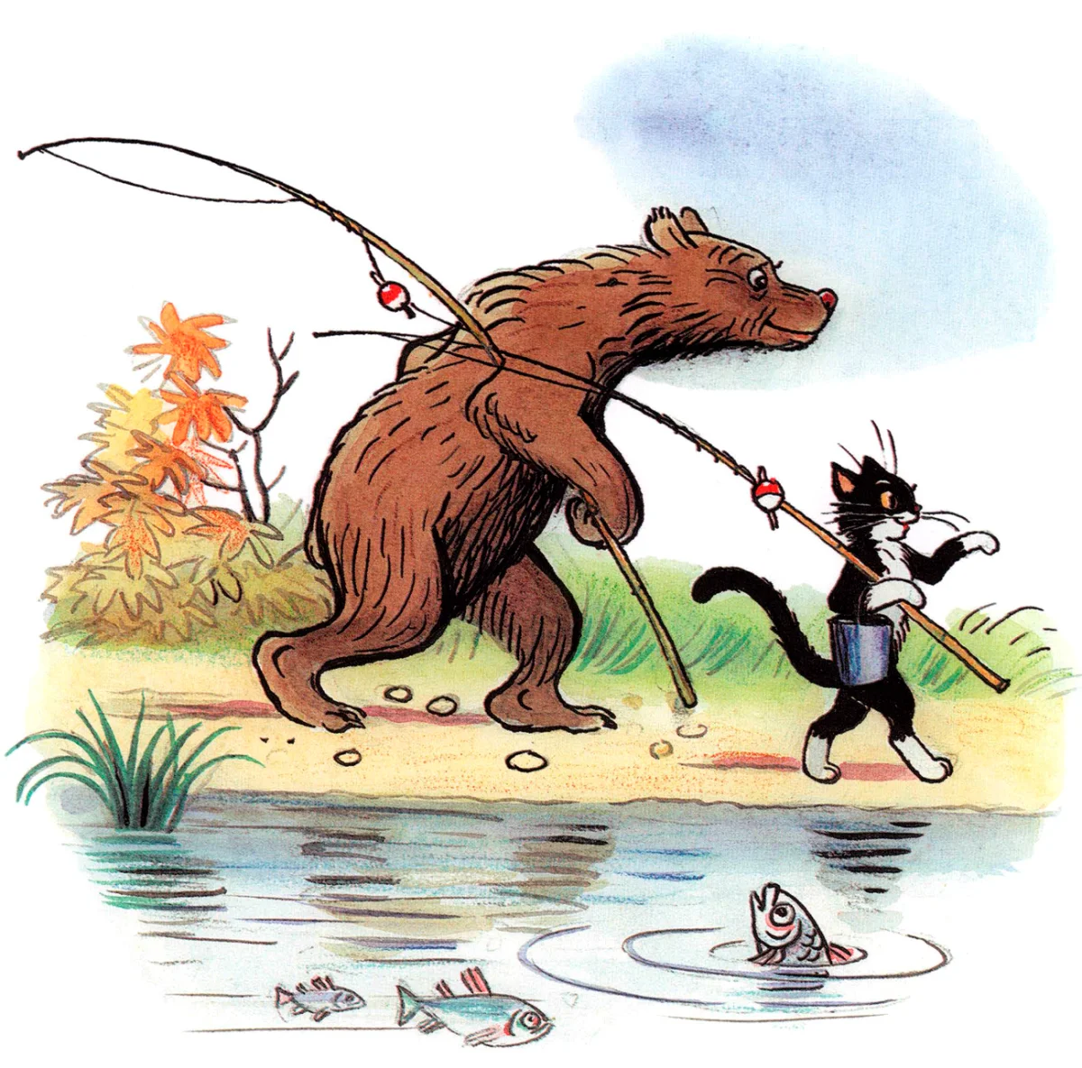 Медведь пошел за котом