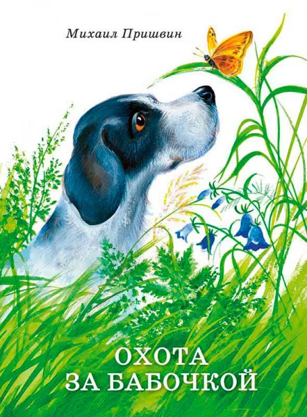 Охота за бабочкой