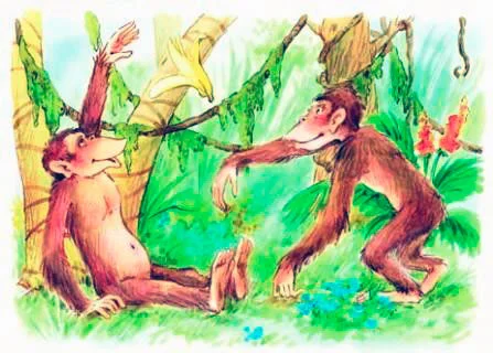 Обезьяны в джунглях