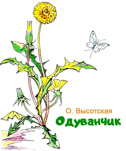 Одуванчик