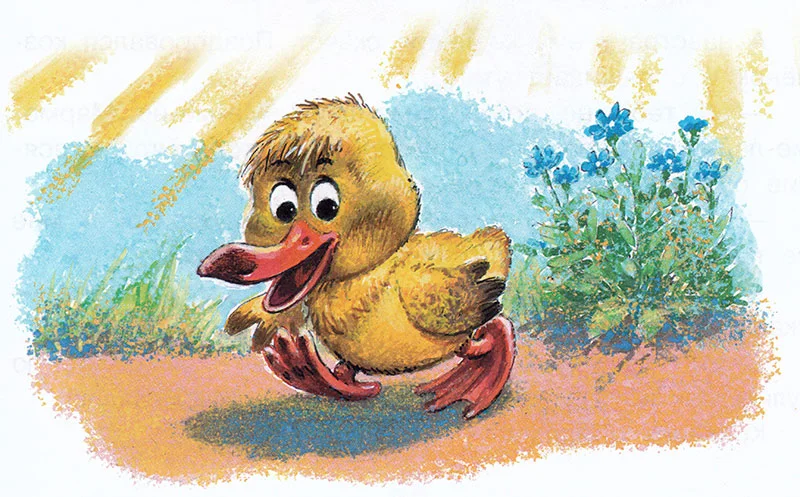 Утенок Крячик и его тень