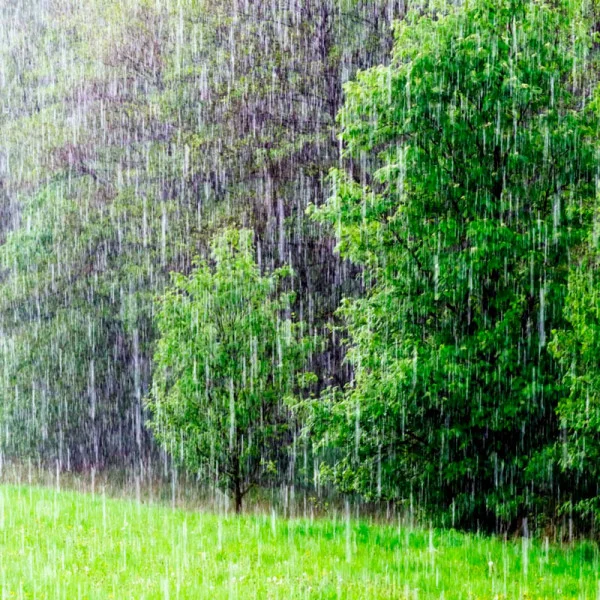 Какие бывают дожди